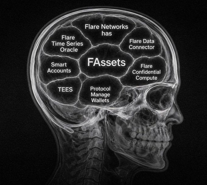 A black-and-white X-ray image of a human skull in profile with its brain area segmented into labeled regions, including 'FAssets' in the center, 'Flare Networks has', 'Flare Time Series Oracle', 'Smart Accounts', 'TEEs', 'Protocol Manage Wallets', 'Flare Data Connector', and 'Flare Confidential Compute'.