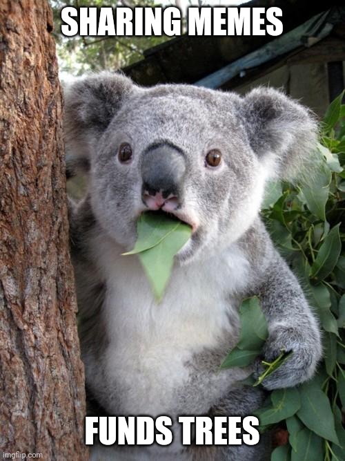 A meme featuring a koala eating a leaf with the text 'SHARING MEMES' at the top and 'FUNDS TREES' at the bottom, from imgflip.com.