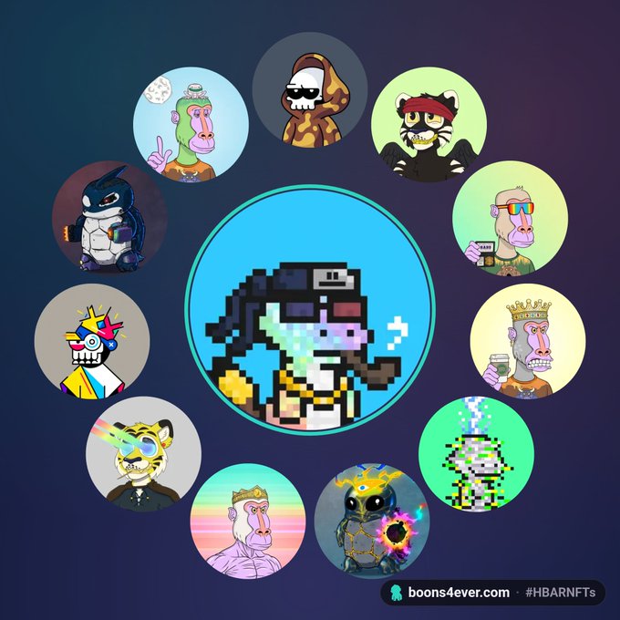 A collage of Bored Ape Yacht Club NFT avatars arranged in a circle, with a pixelated ape character in the center and a 'boons4ever.com' logo with hashtag '#HBARNFTs' at the bottom right.