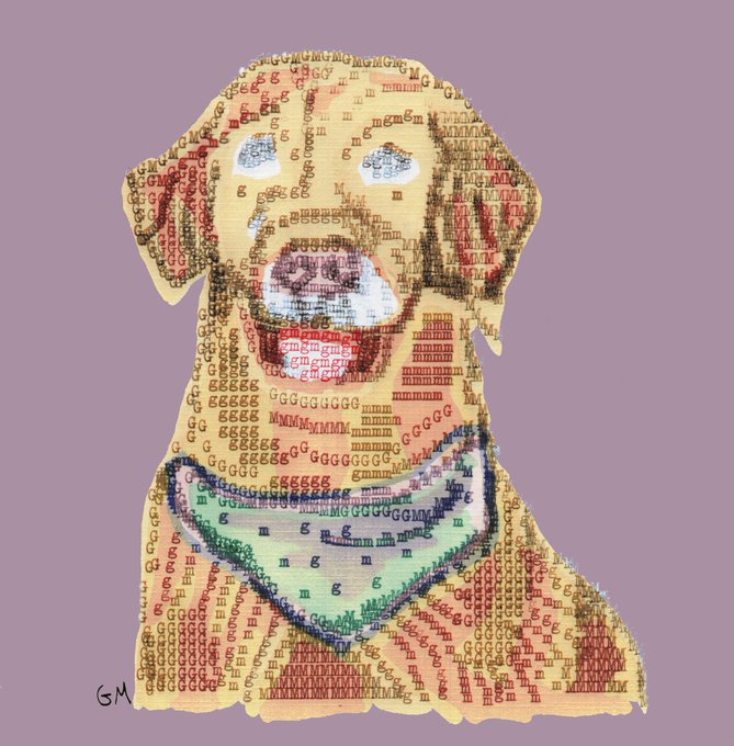 A stylized digital artwork of a dog's head with a green bandana, filled with a background pattern of colorful genetic DNA sequences and signed 'GM' in the bottom left corner.