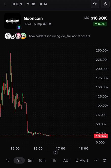 A trading chart for the memecoin 'Gooncoin' (ticker: GOON) showing a dramatic price crash from around $250k down to $16.89k over a few hours.