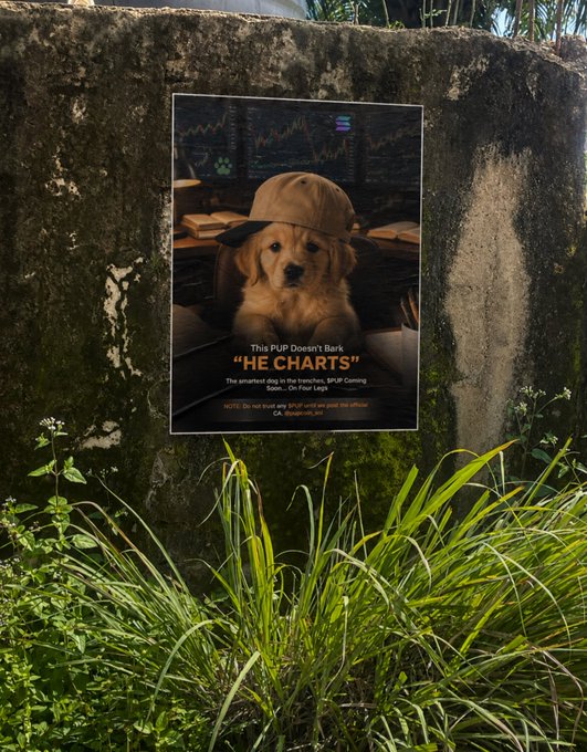 A promotional flyer for "$PUP" featuring a golden retriever puppy wearing a cap is posted on a weathered outdoor wall, with the caption "This PUP Doesn't Bark "HE CHARTS."" The image illustrates the "Real paper" aspect mentioned in the post, showing the $PUP meme coin (with ticker also referenced as "@pupcoin_sol") advertised through physical flyers placed in public spaces rather than digital posts.