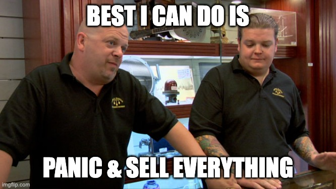 A meme featuring two men in black polo shirts standing in what appears to be a pawn shop. The text reads "BEST I CAN DO IS" at the top and "PANIC & SELL EVERYTHING" at the bottom, with the "imgflip.com" watermark in the corner.