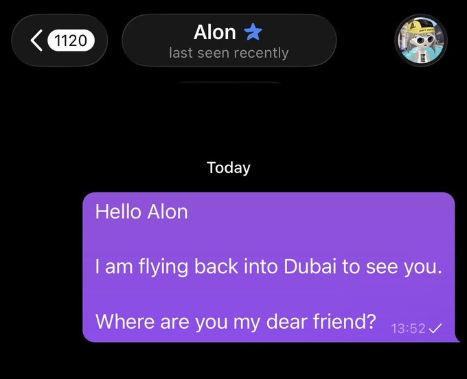 A Telegram chat screenshot shows a message from "Alon" (noted as "last seen recently") sent at 13:52 reading: "Hello Alon, I am flying back into Dubai to see you. Where are you my dear friend?" The message ties into a crypto promotion encouraging followers to join T.me/fluffyalpha for memecoin-related content, with the Dubai trip reference used as hype to attract community members.