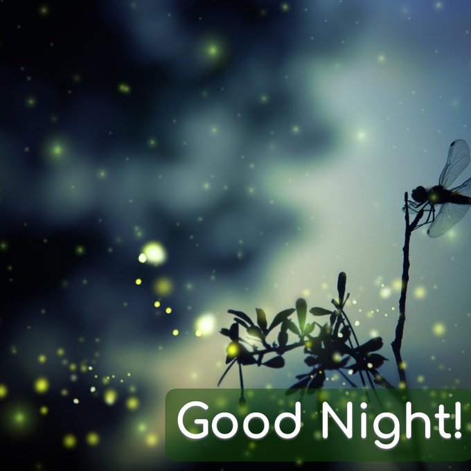 A 'Good Night!' greeting image showing a silhouetted dragonfly perched on a twig with small leaves, set against a dark blue bokeh background filled with glowing yellow light orbs resembling fireflies.