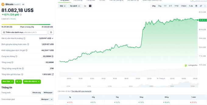 Screenshot of a Bitcoin price page showing BTC at $81,082.18 USD with a 0.1% (24hr) increase, displaying a green upward-trending candlestick chart over the past 24 hours.