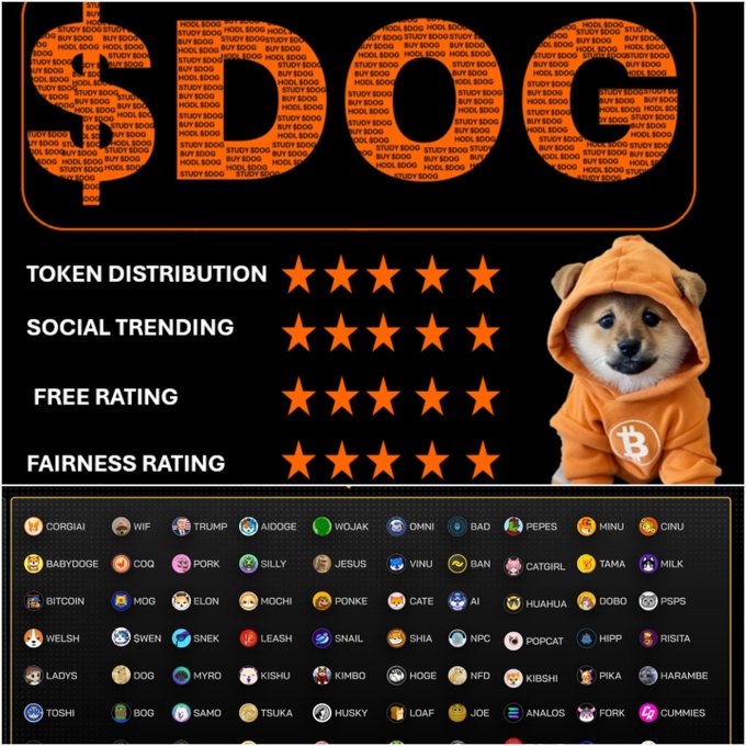 A promotional graphic for 'SDOG' featuring star ratings for token distribution, social trending, free rating, and fairness rating, with a Shiba Inu dog wearing a Bitcoin hoodie and a grid of various meme coin logos including CORGIAI, TRUMP, DOGE, WOJAK, BABYDOGE, COQ, PEPE, and SHIB.