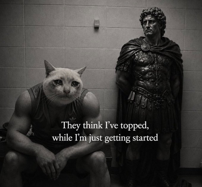 A black-and-white photo showing a muscular figure with a cat's head sitting on a bench beside a stone statue of a Roman general, with the caption "They think I've topped, while I'm just getting started."

The image reinforces the post's message that $CASHCAT is far from its peak—pairing the stoic cat-headed warrior's declaration with the poster's claim that the token has a 4x run ahead and hasn't even begun its upward move.