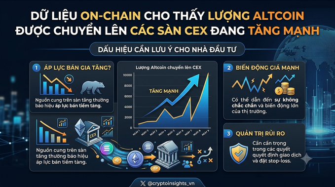 A Vietnamese infographic titled 'DỮ LIỆU ON-CHAIN CHO THẤY LƯỢNG ALTCOIN ĐƯỢC CHUYỂN LÊN CÁC SÀN CEX ĐANG TĂNG MẠNH' with sections on selling pressure, strong price movements, and risk management, featuring charts showing altcoin amounts transferred to exchanges and credited to @cryptoinsights.vn.