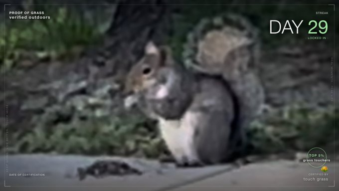 The image shows a squirrel sitting on a sidewalk, with a calendar for Day 29 visible next to it. The squirrel appears to be eating something off of the ground or near its feet.