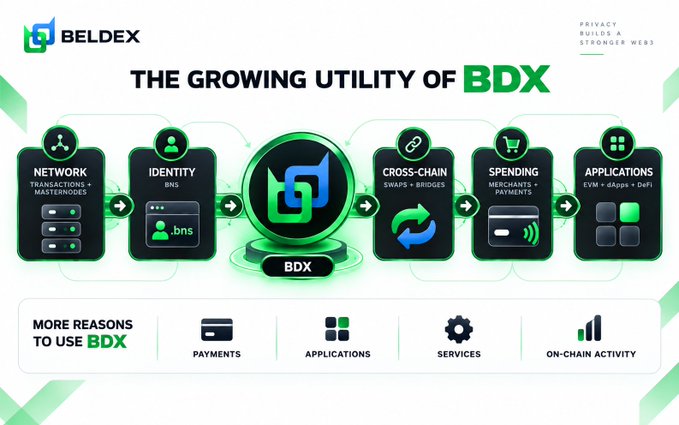 An infographic titled 'THE GROWING UTILITY OF BDX' for Beldex, illustrating a flow from Network, Identity, and Cross-Chain features through a central BDX icon to Spending and Applications, with icons below for Payments, Applications, Services, and On-Chain Activity.