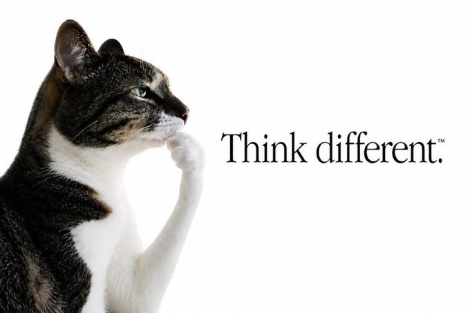 A tabby and white cat poses thoughtfully with its paw to its chin next to the text 'Think different.™' in an Apple-style advertisement parody.