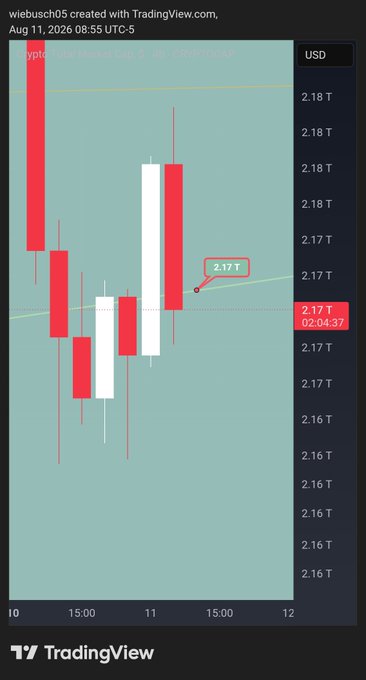 A TradingView candlestick chart for 'Crypto Total Market Cap' showing a value around 2.17 T, created by wiebusch05 on Aug 11, 2026.