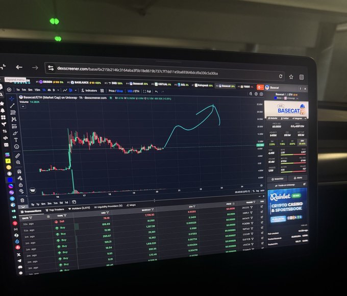 A close-up of an iPad screen displaying the Dexscreener trading platform with the $BASECAT (Basecat) token chart showing a price spike and subsequent pullback, captured while trading in a car. The candlestick chart highlights the volatility of the newly launched meme coin, with the characteristic meme art logo visible in the top right corner.