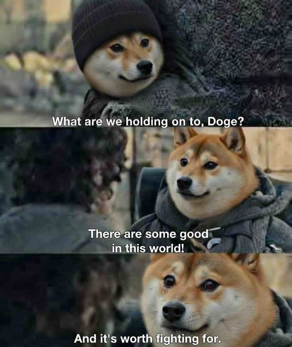 A three-panel meme featuring a Shiba Inu dog dressed in medieval-style armor and a beanie, with subtitles reading 'What are we holding on to, Doge?', 'There are some good in this world!', and 'And it's worth fighting for.'