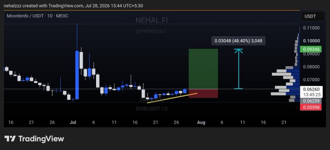 A TradingView chart of Moonbirds (BIRB) on MEXC shows a bullish long scalp setup with a projected 48.40% gain to 0.03048, marked by a green rectangle indicating the entry zone and upward arrow targeting 0.09344 from the current price of 0.06260. The analysis, created by @nehalzzzz on July 28, 2026, visualizes the "alpha token" trade recommendation with a clear green-zoned setup and projected upside.