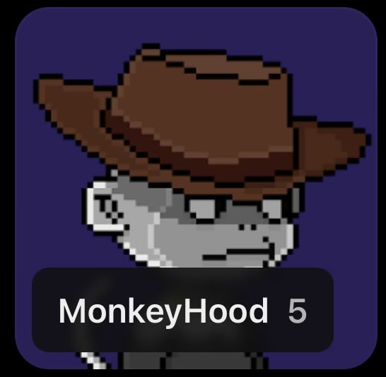 A pixel art profile picture with a purple background showing a gray character wearing a brown wide-brimmed hat, labeled "MonkeyHood 5" in a dark box.