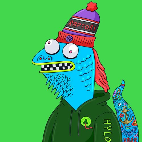 A cartoon character wearing a colorful 'RAPTORS' beanie and a green hoodie with 'HYLO' and a tree logo appears against a bright green background.