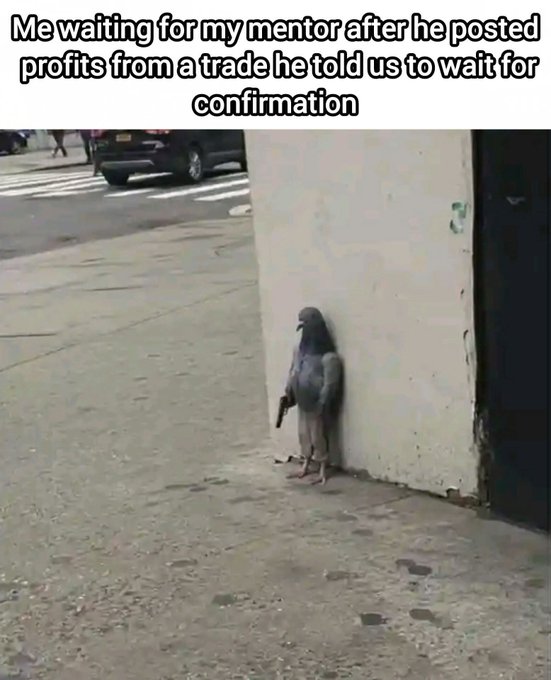 A pigeon stands alone on a sidewalk, leaning against a wall in what appears to be a wait, captioned "Me waiting for my mentor after he posted profits from a trade he told us to wait for confirmation" — humorously portraying the loneliness and frustration of waiting for a mentor's promised explanation after seeing their profitable results.