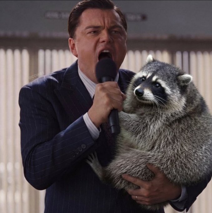 The image shows a man in a pinstripe suit passionately shouting into a microphone while clutching a raccoon, likely referencing Leonardo DiCaprio's iconic "Wolf of Wall Street" speech scene, humorously paired with the post's "$Jimothy" ticker commentary about choosing wealth as a "rich raccoon." The man's intense expression and the raccoon's smug demeanor visually reinforce the post's defiant stance on choosing prosperity.
