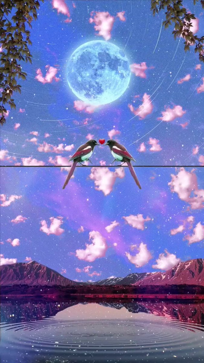 None