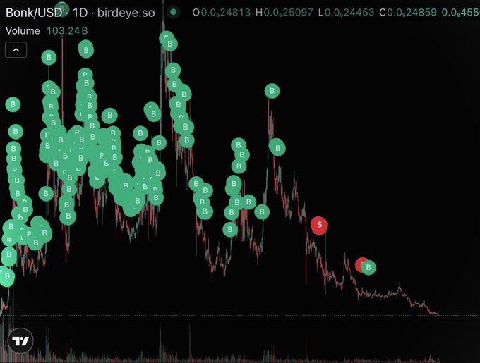 The image shows a Birdeye.so daily candlestick chart for Bonk/USD ($BONK) with dozens of green "B" (buy) markers dominating the chart alongside just two red "S" (sell) markers, illustrating the poster's year-long buying spree despite the token's sharp decline from highs near $0.0000455. The overwhelming ratio of buy to sell dots visually reinforces the caption's lament of relentless accumulation during a painful downtrend.