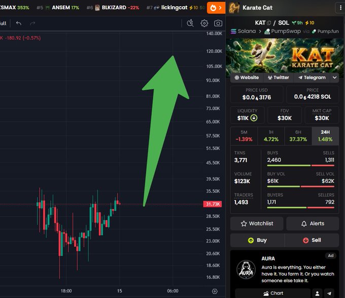 A Dexscreener chart for the Solana token "Karate Cat" (KAT) showing a large green upward arrow overlaid on the price action, accompanied by the post's bullish prediction that $KAT will "FLY" once the market turns, with visible metrics including a $30K FDV, $11K liquidity, and the contract address "5i6Ve42SMGGHLYkBbCimW7trK1MxFZNKZSUfWUCZpump."