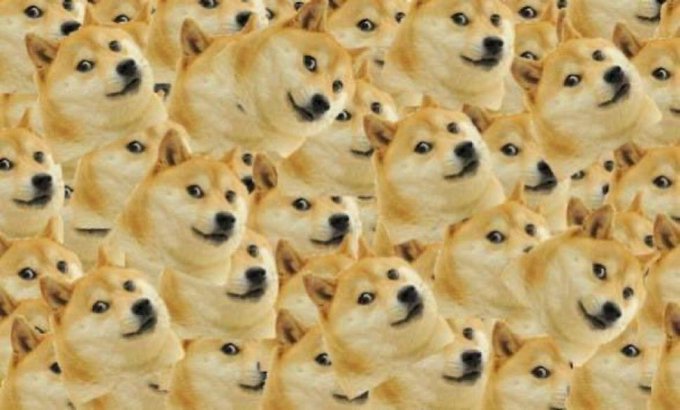 A repeating pattern meme featuring the smiling face of a Shiba Inu dog (Doge) tiled across the entire frame.
