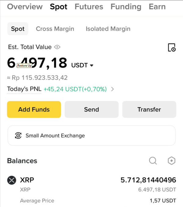 The image shows a screenshot of a cell phone screen displaying information about an account that has been converted into USDT (Uniserve Dollar Trust). The text indicates that the user has set their goal for this year's goals to be equal to $10,000 in USDT. The current balance on the account is 6.5k, which translates to 6500,400 Indonesian Rupiahs. This amount is less than 10k and would take several years to accumulate into 10k. The user seems to be considering investing some of their money to achieve this goal faster.
