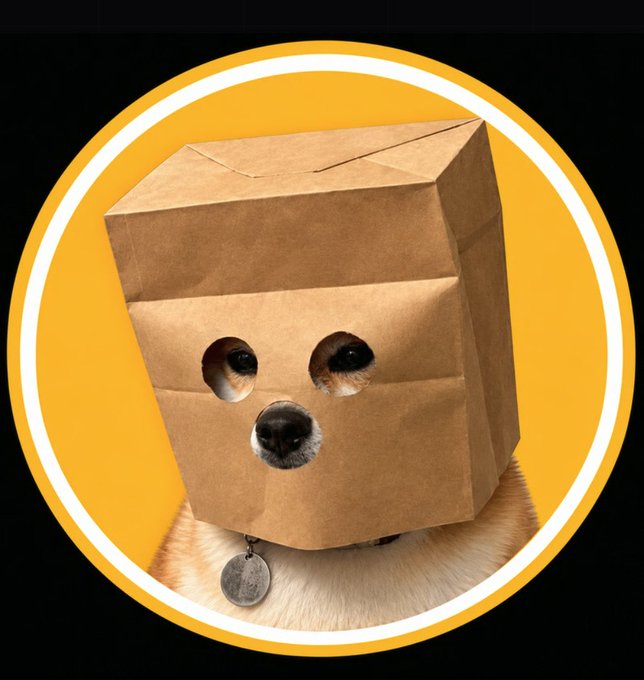 A cute dog wears a brown paper bag over its head with holes cut out for the eyes and nose, set against a yellow and black circular background.