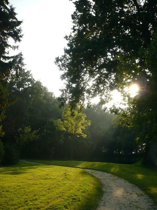 A sun-dappled path winds through a lush, green park with tall trees as the golden light of late afternoon filters through the leaves. The serene, hopeful atmosphere complements the positive message of wishing the network's community a good day.