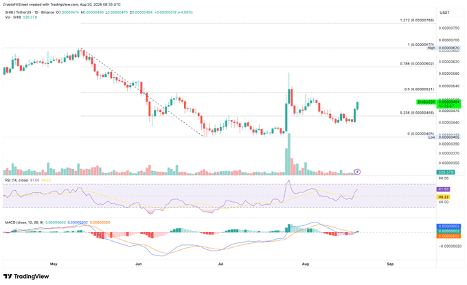 TradingView candlestick chart for SHIB/USDT on Binance showing a price of 1.372 (0.0000768) with a slight gain of +4.00%, displaying price action from May through August with RSI at 58.23 and MACD indicators visible.