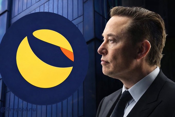 An illustration showing Elon Musk in a suit next to the Terra (LUNA) logo against a blue building background, watermarked '@CryptoAnu'.