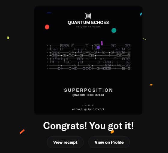 A success screen for "QUANTUM ECHOES BY QUIP NETWORK" reveals "SUPERPOSITION - QUANTUM ECHO #2428," saying 'Congrats! You got it!' with buttons to view receipt or profile.