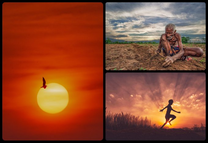 A collage of three atmospheric photographs: a bird silhouetted against an orange sunset, an elderly man planting in a field under cloudy skies, and a child running through tall grass at golden hour.
