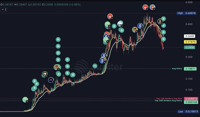 A cryptocurrency trading chart shows $ANSEM (likely ticker "ANSEM") at 0.28767, up 2.06%, with price levels marked including High 0.44978, Low 0.15613, and Avg Entry 0.19611, overlaid with numerous cartoon character icons representing wallets/holders. The post references topping up a position after paper hands sold off, which aligns with the visible wallet activity and the "Top 100 Holders Avg Entry" marker at 0.050149 sitting well below current price.