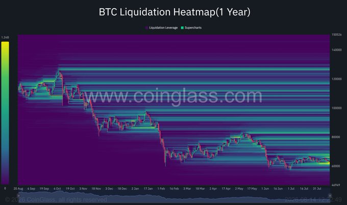 A 'BTC Liquidation Heatmap (1 Year)' chart from coinglass.com, displaying Bitcoin's price action with a liquidation leverage scale on the left ranging from 0 to 1.24B, covering the period from August to late July.