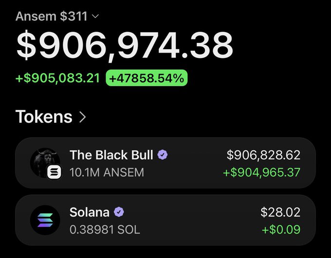 A crypto wallet tracking screenshot showing "Ansem $311" portfolio has grown to $906,974.38, a +47,858.54% gain, primarily driven by a holding of 10.1M ANSEM tokens in "The Black Bull" valued at $906,828.62, alongside a small 0.38981 SOL position worth $28.02.