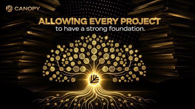 Promotional graphic for Canopy featuring a glowing golden tree graphic with the text 'ALLOWING EVERY PROJECT to have a strong foundation.'