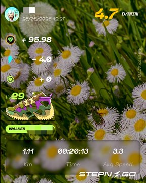 The image shows a fitness app screen with a pair of purple and green sneakers displayed, along with a timer and distance information for walking or running. The background features a field filled with white flowers, adding a natural element to the scene. The caption at the bottom of the image reads "StepnGo" followed by "#stepngo".