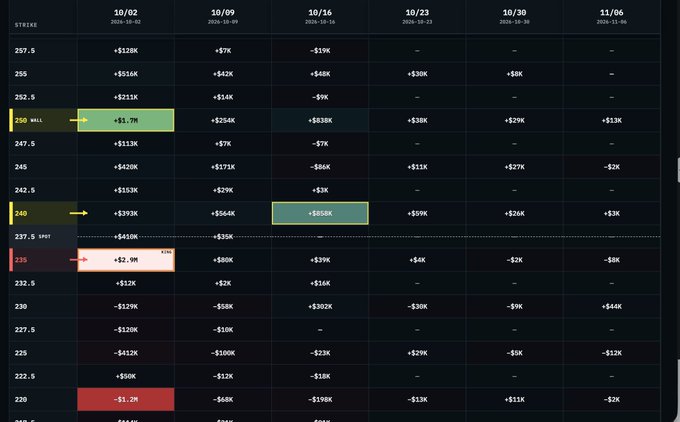 A financial options data table showing strike prices and dates from October and November, with highlighted rows at strikes 250, 240, and 235 marked 'WALL' and 'FLOOR'.
