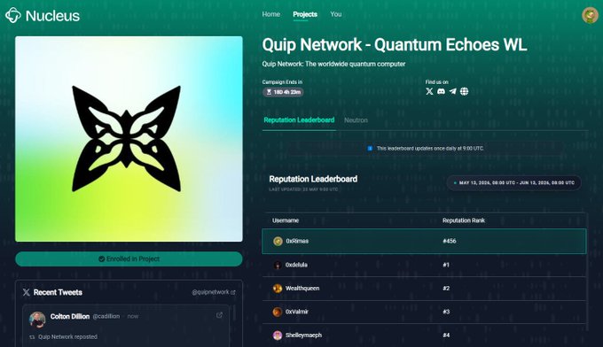 The image shows a screenshot from Quip Network's website that displays information about the project they are working on - Quantum Echoes WL. The main collection of this project consists of open-edition common-rarity Quantum Echoes, which means that only a limited number of items will be available for purchase or download at any given time. The post also mentions that early supporters and active community members may gain access to the project's information.