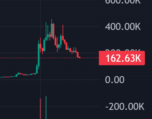 A bearish candlestick chart shows a sharp price spike to around 450K followed by a steep decline, with the current price highlighted at 162.63K. The chart reflects the post's frustration about holders failing to maintain the once-promising upward momentum, as the asset has now lost most of its gains.