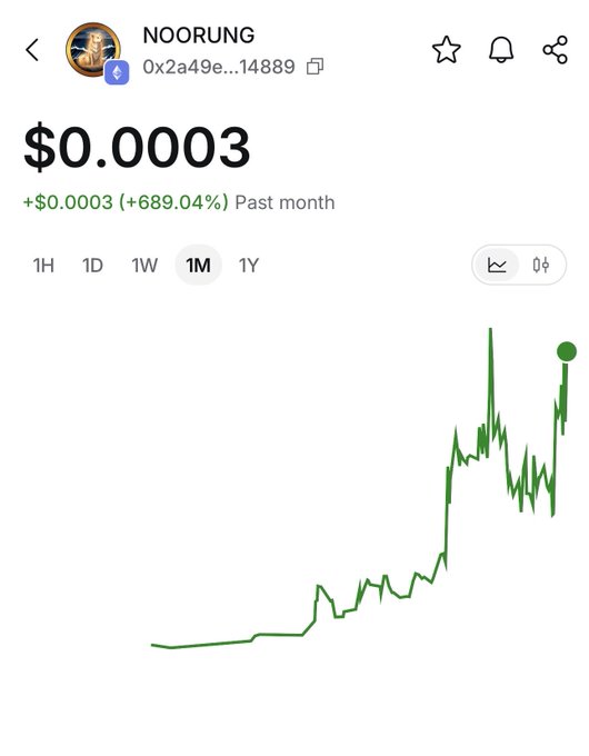 A crypto token chart for NOORUNG (0x2a49e…14889) shows a price of $0.0003, up $0.0003 (+689.04%) over the past month, with a volatile upward trend on the 1M view. The accompanying DexScreener post claims the Ethereum token “IS DOING 10x,” highlighting its recent price surge.