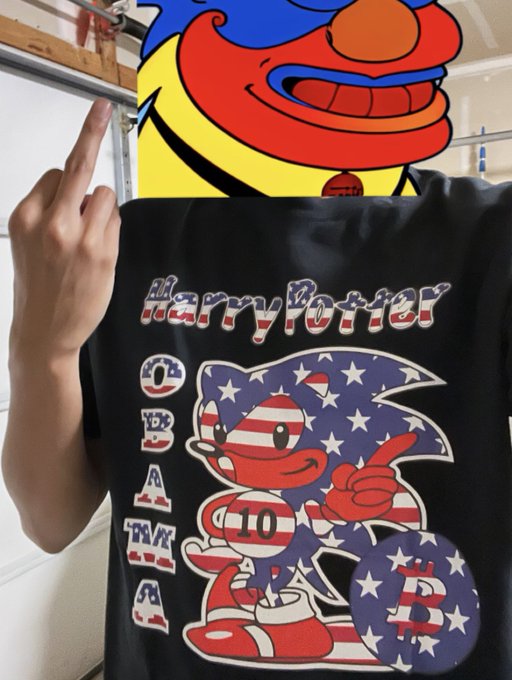 A person holds up a black Harry Potter-themed t-shirt featuring Sonic the Hedgehog in an American flag design with 'OBAMA TEAM 2024' text, while making a middle finger gesture with their other hand.