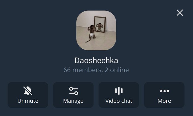 A Telegram-style group chat interface showing 'Daoshechka' with 66 members (2 online), featuring options to Unmute, Manage, Video chat, and More.