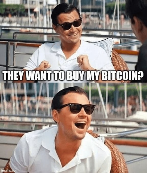 The 'Wolf of Wall Street' meme featuring Leonardo DiCaprio with the text 'THEY WANT TO BUY MY BITCOIN?' transitioning from excited to laughing expressions.