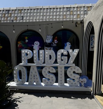 An outdoor sign with marquee-style lights that reads 'PUGY OASIS' (likely Puggy Oasis) displayed in front of a building with arched windows.