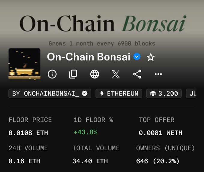 A screenshot of the 'On-Chain Bonsai' NFT collection page on Ethereum, showing a floor price of 0.0108 ETH, 24H volume of 0.16 ETH, and 646 unique owners (20.2%).