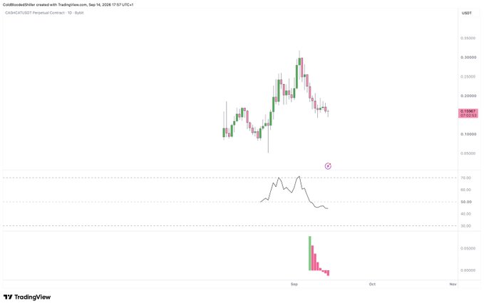 A TradingView chart of CASHCAT/USDT Perpetual Contract (10x) on Bybit shows a sharp peak above 0.30000 in late August 2025 followed by a steep decline to around 0.15390, with the RSI indicator in the middle panel dropping toward oversold territory (~45) and a red lightning bolt emoji highlighting the selloff, visually confirming the ~55% correction noted in the post and suggesting a potential value-buying opportunity.